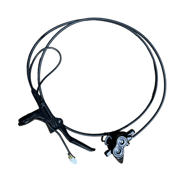 Brake Cylinder Pump Assembly for E Ride Pro SS